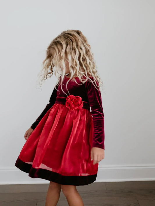 Red Velvet Rose Dress